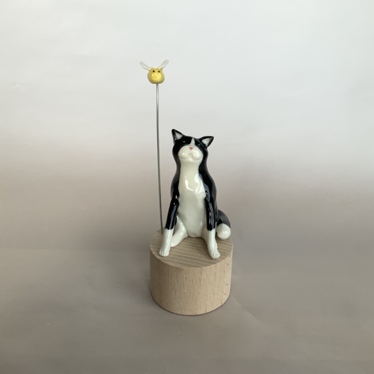 Black and White Cat