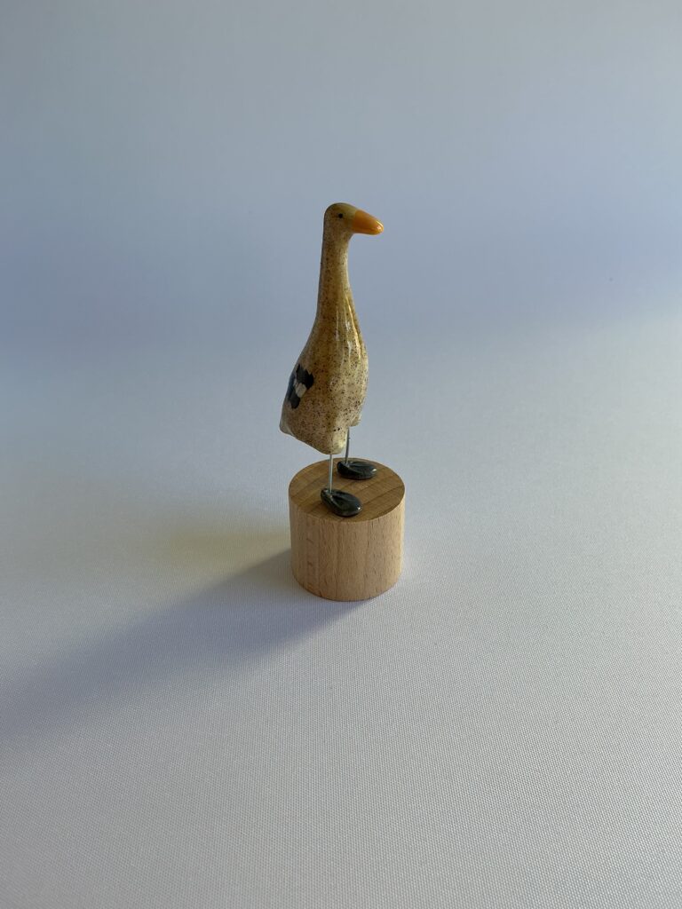 Brown, Runner Duck