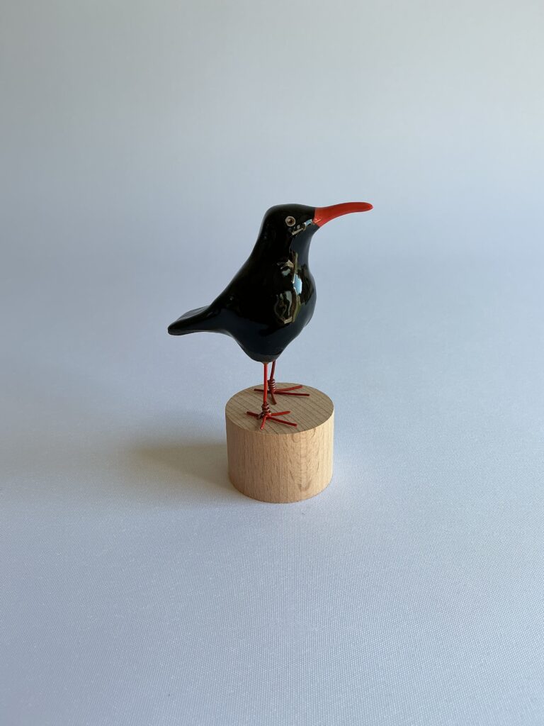 Chough