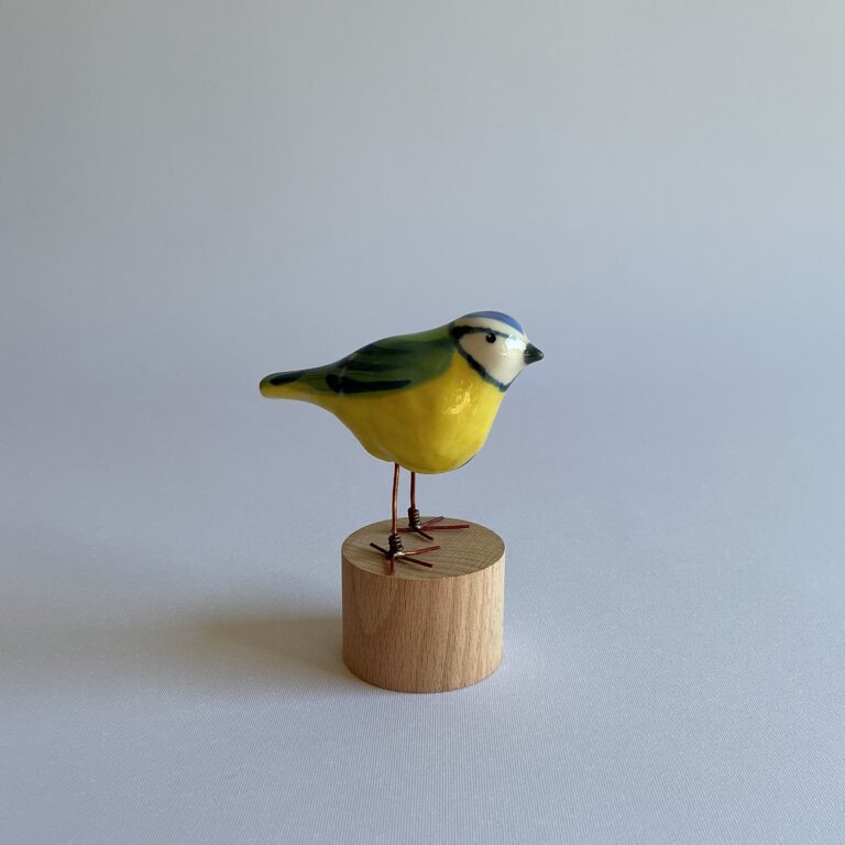 Blue Tit