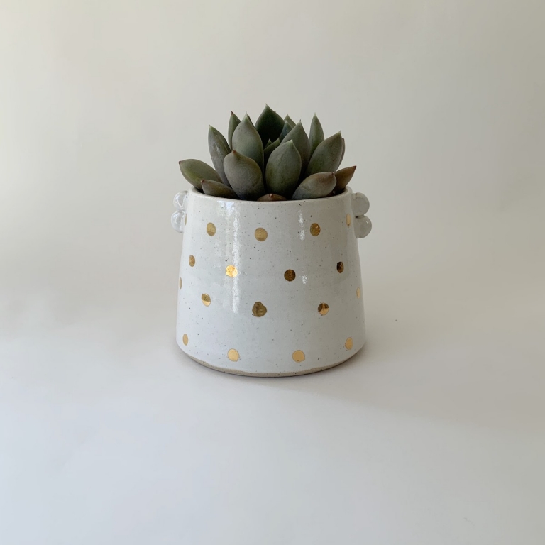 Gold spot Planter