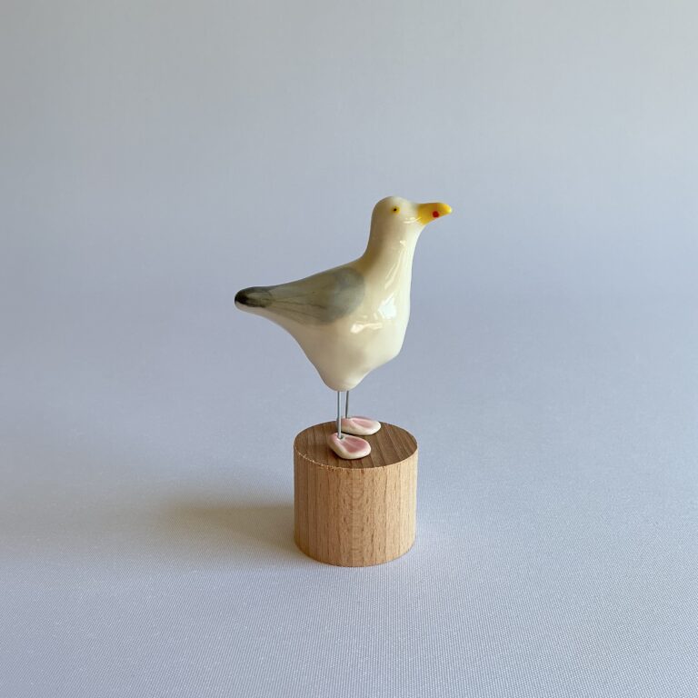 Seagull