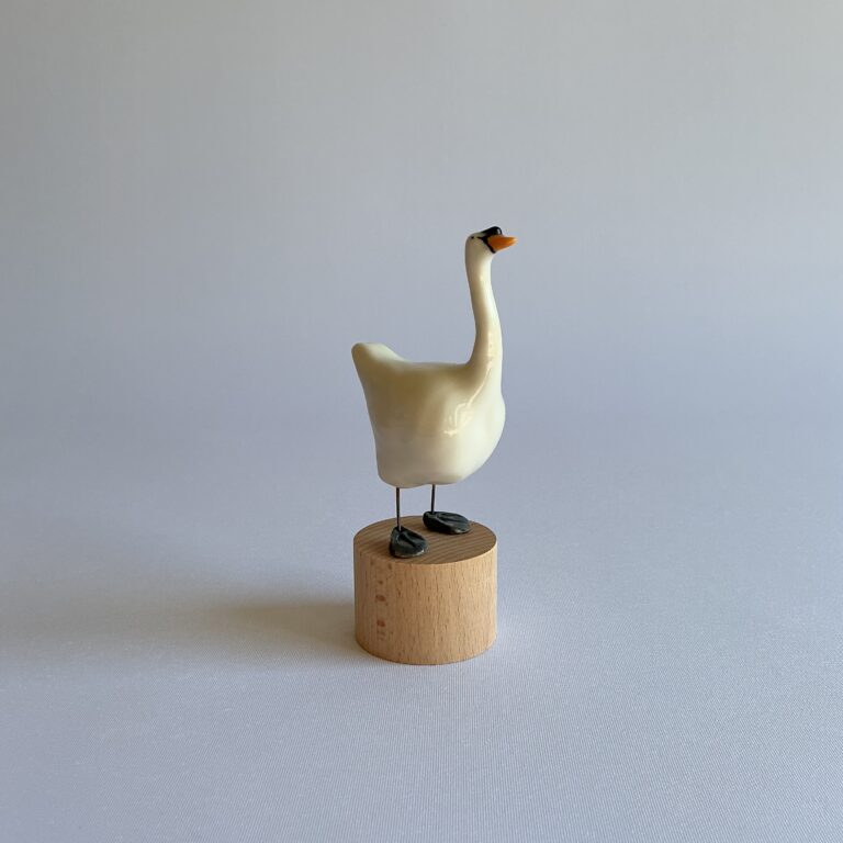 Swan