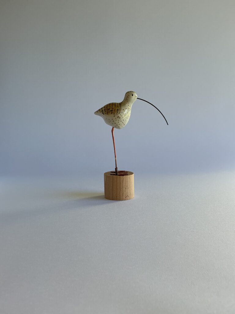 Curlew